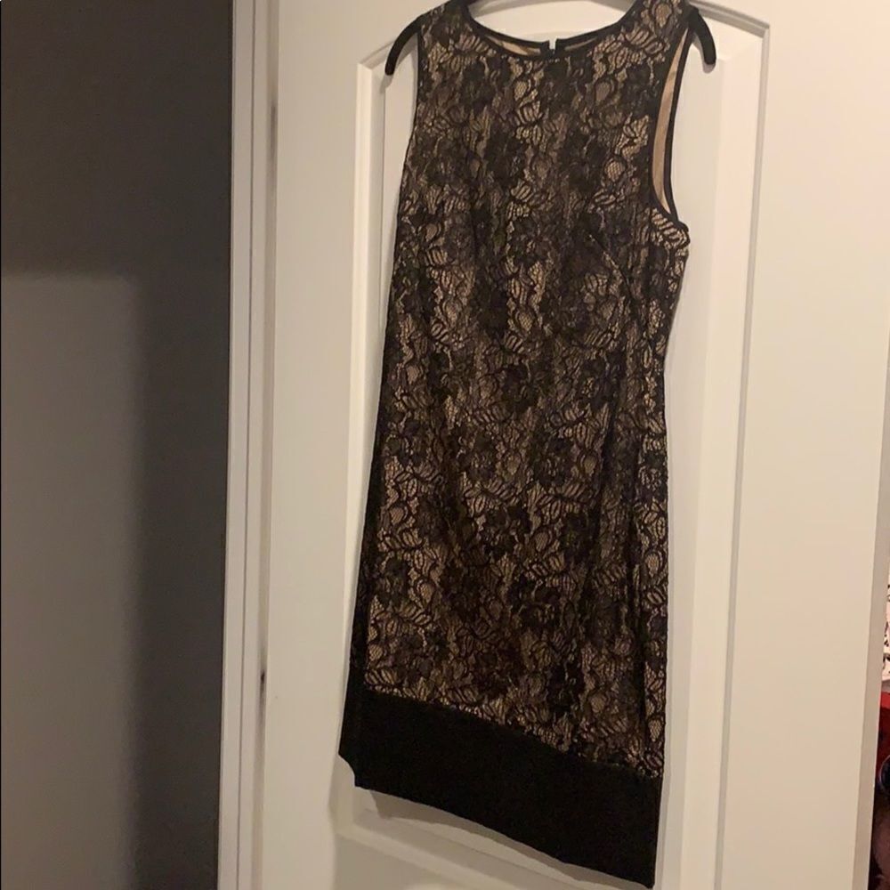 Cache lace dress - Picture 8 of 11